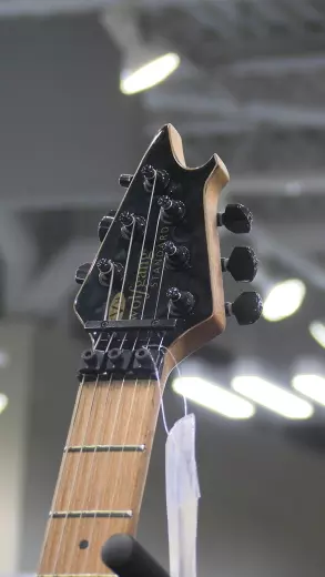 EVH - Wolfgang WG Standard QM 3